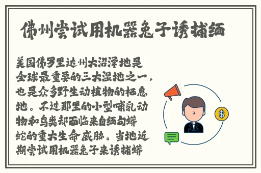 爆机少女喵小吉珍品